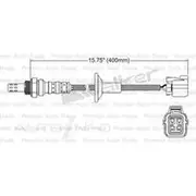 PAT Oxygen/Lambda Sensor Post Catalytic Converter - EGO-322