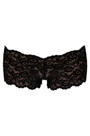 Lace Hipster Brief--BASS-8010L