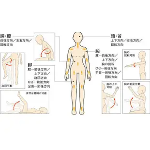 成人實體矽膠男模娃娃女士專用猛男帥哥全自動性玩偶同誌gay定制版自慰