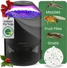 QUASH Indoor Fly Trap – Non-Zapper Mosquito & Bug Killer – Gnats, Fruit Flies, M