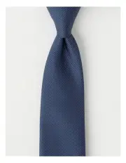 [Van Heusen] Plain Tie in Navy