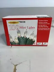 100 White Mini Christmas Lights, 26.6" Indoor/ Outdoor, Steady Or 2 Way Flash