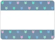 Creative Teaching Press Calm & Cool Colorful Mini Chevrons 3.5*2.5 inches