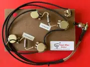 Ibanez GB10 George Benson Prewired Guitar Upgrade Kit K40 PIO Caps Fits