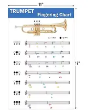 Trumpet Fingering Chart with Color-Coded Notes, Learn Trumpet Technique Suitable
