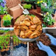 250g Coconut Husk dry chips Organic Natural Fiber Orchids Anthurium Growing All