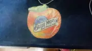 100 BLUE MOON FIRST PEACH ALE BEER COASTERS BRAND NEW IN PACKAGE
