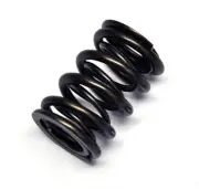 Supertech SPR-H1000D/BM Dual Valve Springs for BMW M50 M52 M54 S50 S52 6-CYL