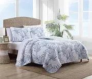 Tommy Bahama - Queen Quilt Set, Reversible Cotto Bedding with Matching Shams, Lightweight Home Decor for All Seasons (Kayo Blue, Queen)