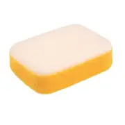 DTA Scrubbing Sponge