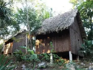 Mariposa Jungle Lodge