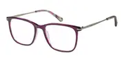 Radley RDO 6016 161 Men's Glasses Purple Size 51 - Private Health Rebate - Blue Light Block Available