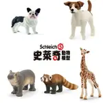 【FUN心玩】正版 SCHLEICH 史萊奇動物模型 法國鬥牛犬 傑克羅素梗 小河馬 小貓熊 長頸鹿寶寶 動物 模型