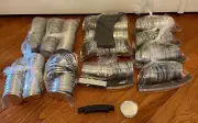 Badge-A-Minit Huge Lot 2 1/4" Magnetic-Back Sets & 30 Pin-back buttons -see more