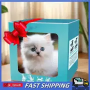 Kids Robot Kitten Activity Short Plush Figure Robot Cat Activity Plush Toys