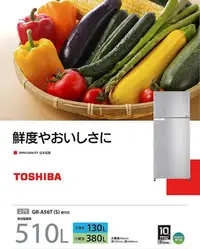 在飛比找Yahoo!奇摩拍賣優惠-TOSHIBA東芝一級510公升變頻雙門冰箱 GR-A56T