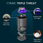QUASH Indoor Insect Trap – Non-Zapper Mosquito and Bug Killer - Removes Gnats, F