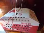 1 Horizon Quail Nest or Baby Chick Shipping Boxes for Live Birds. Fast Ship