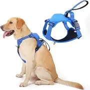 Dog Harness with Retractable Leash,No Pull Dog Harness,Automatic Anti-Burst Impact Function and Free Hands,Adjustable Dog Vest for Medium and Large Dogs (Blue, XL)