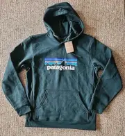 NWT Patagonia P-6 Logo Uprisal Pullover Hoodie Hooded Sweatshirt Medium M Green