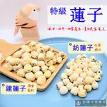 建蓮子｜紡蓮子【詠晴中西藥局】150G｜300G｜600G｜去心蓮子｜寶蓮子｜仿蓮子｜蓮子｜穿心蓮｜穿心蓮子｜蓮子乾｜