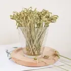100pcs/bag Knotted Bamboo Skewers Handcrafted Comfortable to Grip Convenient