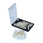 1 Box Dental Pro Temporary Crown Materials 22# 23# 24# Anterior Teeth