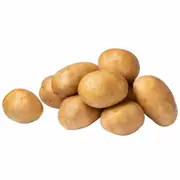 Seed Potato - Nicola
