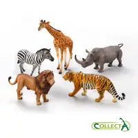 在飛比找PChome24h購物優惠-collectA野生動物禮盒(5入)