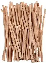 HAMPPLIES 50Pcs Natural Branches Dried Twigs for DIY Crafts Rustic Home Decor and Creative Embellishments for Crafting Projects and Decorations