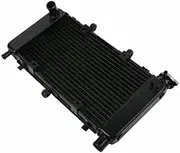 Motorcycle Engine Radiator Cooler Cooling system Compatible with Yamaha FZ600 FZ6 FZ6N FZ6S 2004-2010 2009 2008