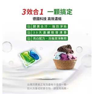 Persil 寶瀅強效淨垢洗衣膠囊 23g*14顆