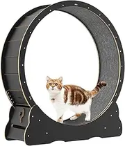Oppsbuy Black Cat Exercise Wheel, Cat Indoor Treadmill Running Training Wheel Wooden Noise Reduction Roller