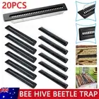 20Pcs Black Bee Hive Beetle Trap Beekeeping Tool Mite Beetle Blaster Accessories