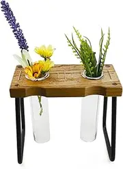 Plant Terrarium | Glass Propagation Station Planter - Decorative Gardening Supplies, Home Decoration for Studio Desk Shelf Window Sill