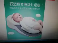 在飛比找Yahoo!奇摩拍賣優惠-浪漫滿屋 babymoov嬰兒防吐奶斜坡墊寶寶定型枕頭新生兒