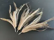Natural Emu Feather Pincher Charms Findings DIY Craft Hat Jewellery Supplies