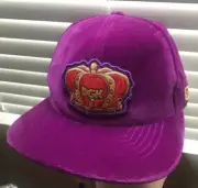 DGK Rare Velvet like Crown Vintage Snap Back Hat