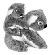 Koala with Baby Plush Toy - Kelly & Kiri - 23 cm