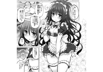 To Love Ru Fanbook B5/56P Modeling work A Maid Girl Mikan