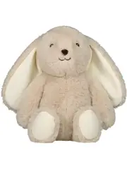 Baby Plush Toy