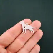 BULK 5 Retriever Charms Stainless Steel Great As a Charm or For Stamping - MT427