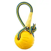 Pet Toys Dog Teething Training Toy Round Pull Ring Chew Ball Durable Play