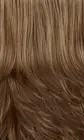 Hollywood | Mane Attraction | Lace Front Synthetic Wig