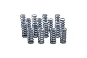 Isky Single Valve Springs (Set)Suit for Ford V8 Flathead 1932-53, 1.010"O.D