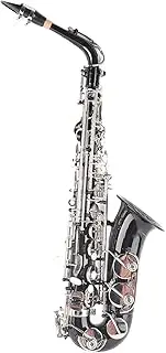 NDNCZDHC Alto Saxophone E Flat Saxophone Brass Material Saxofon Full Kit for Students Beginner