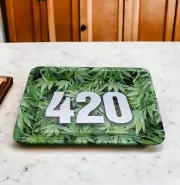 metal plate Decorative Remote Table Tray Plant print Decoration Snack Tray