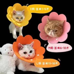 🐾24H出貨🐾太陽花項圈 伊莉莎白圈 防咬圈 防舔 頭套 太陽花圈 伊莉莎白圈 貓頭套 貓咪頭套 防舔圈