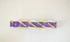 Bissell Brushroll, Petlifter Pet Vacuum Purple 1309 Part 1609124