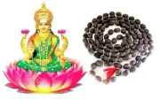 Auspicious Goddess Laxmi Lotus Seed Kamal Gatta Japa Mala 108 Beads Diwali Puja